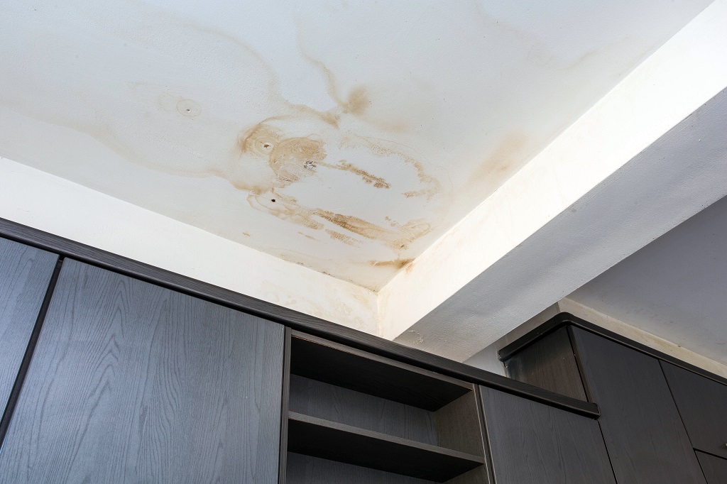 Ridding Your Interior of Ugly Spots and Stains, Interior Problem