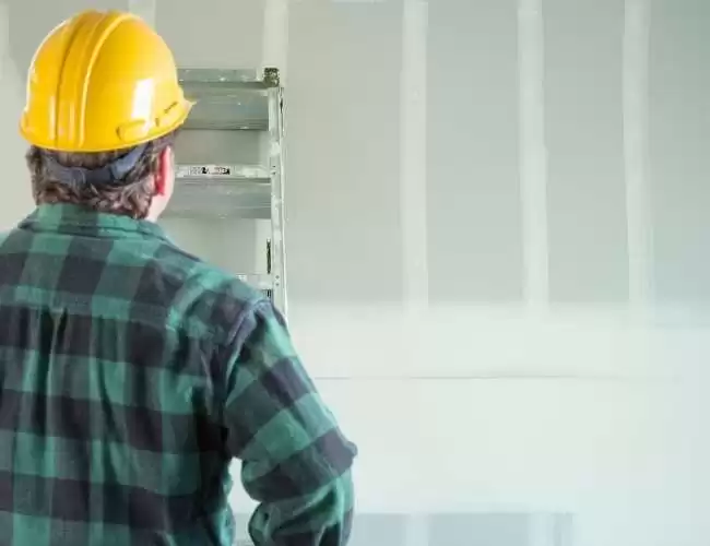 Lion Painting and Drywall as Your Drywall